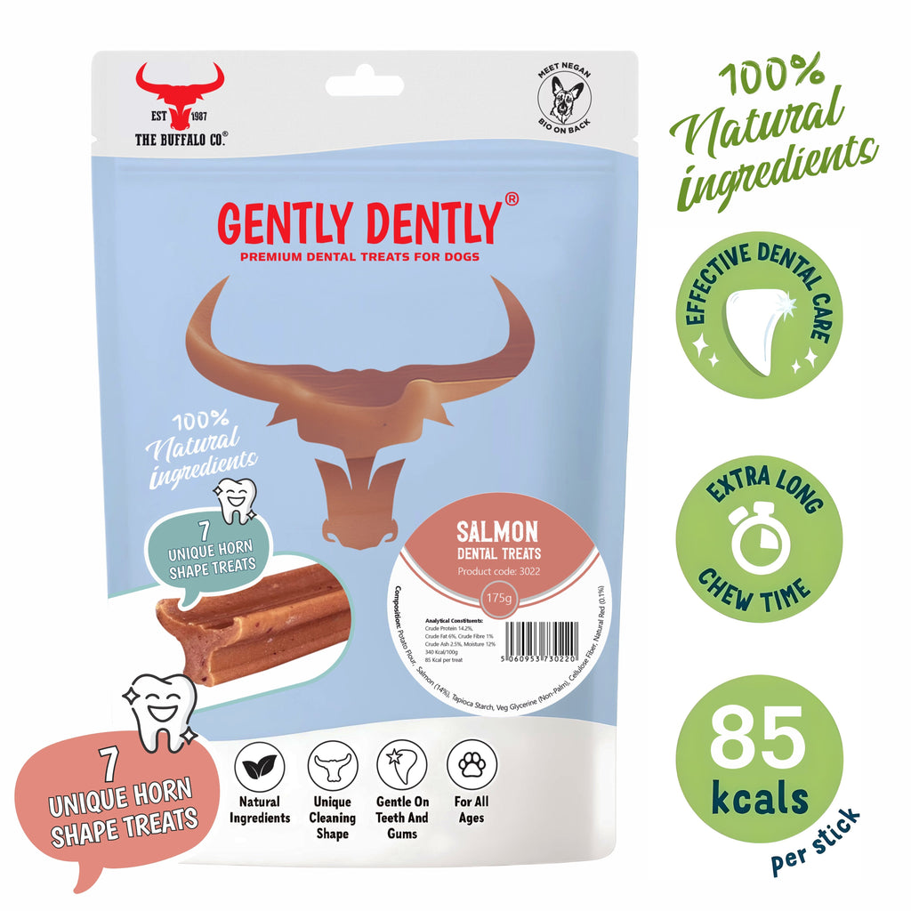Salmon Dental Treatf 175g