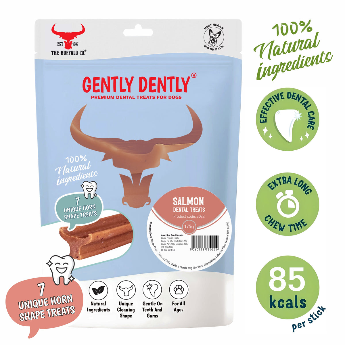 Salmon Dental Treatf 175g