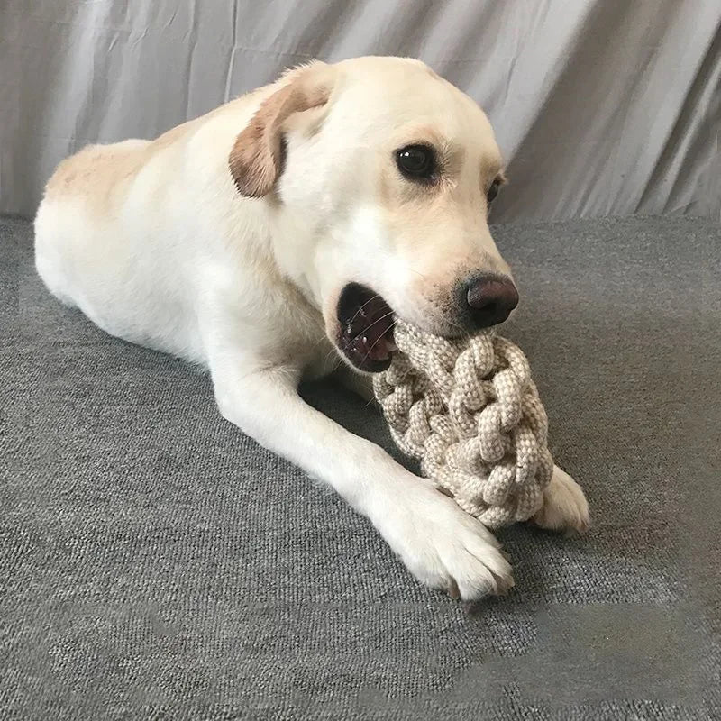 Dog Teeth cleaning knot toy