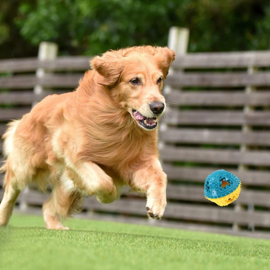 Interactive Dog Treat Ball – Chew & Reward Toy