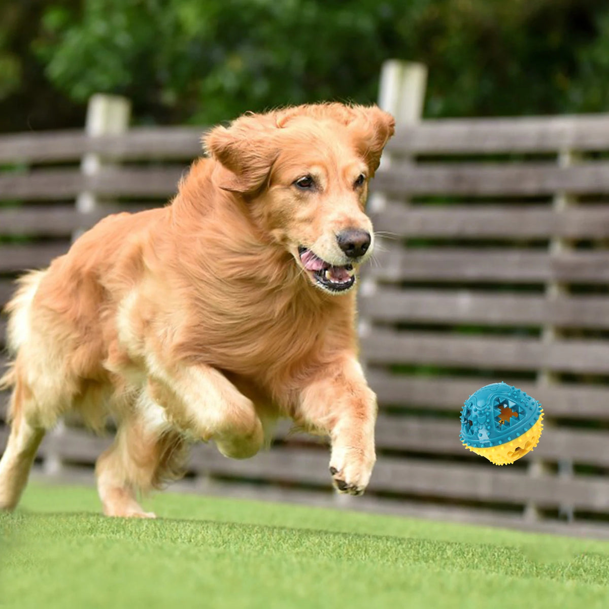 Interactive Dog Treat Ball – Chew & Reward Toy